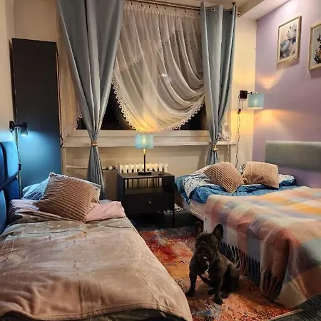 Apartment Mieta